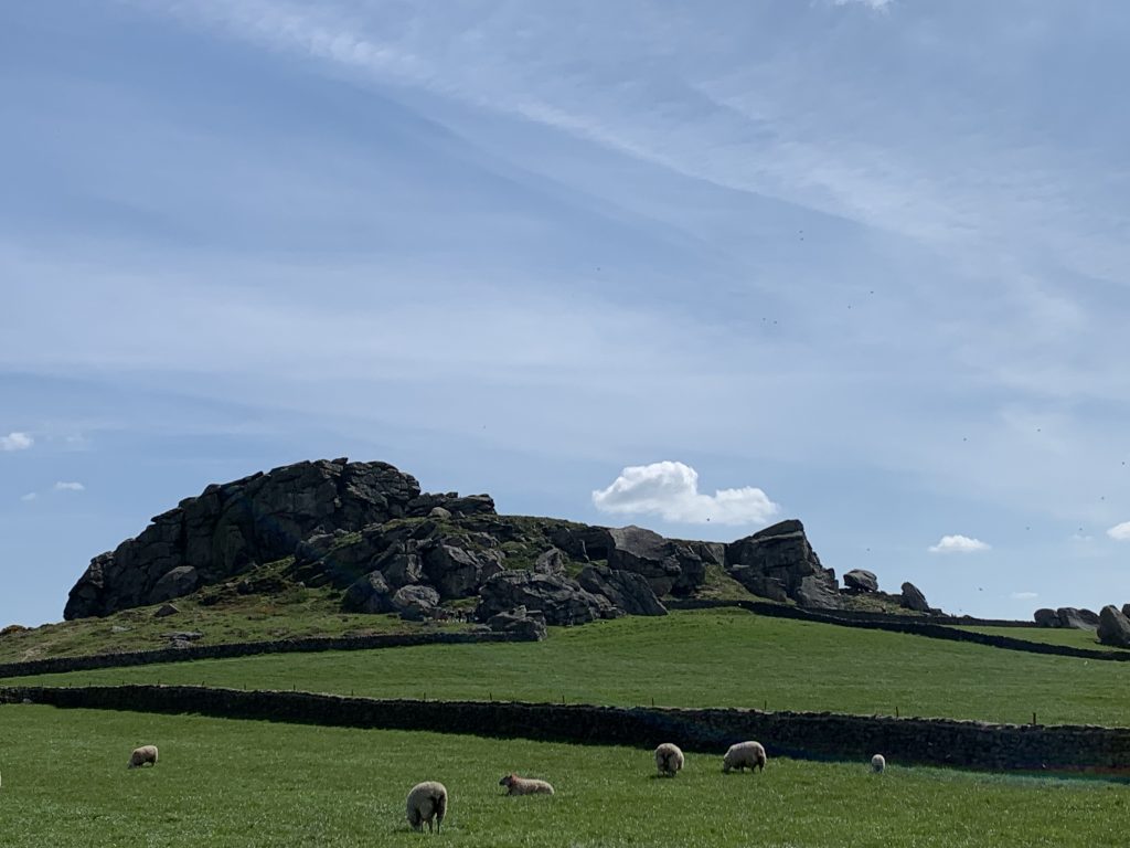 rocks in a field