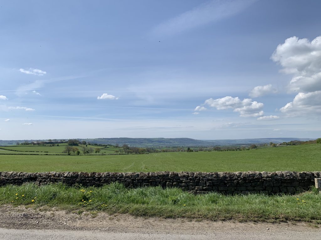 grass verge next to an old brick wall and a green field